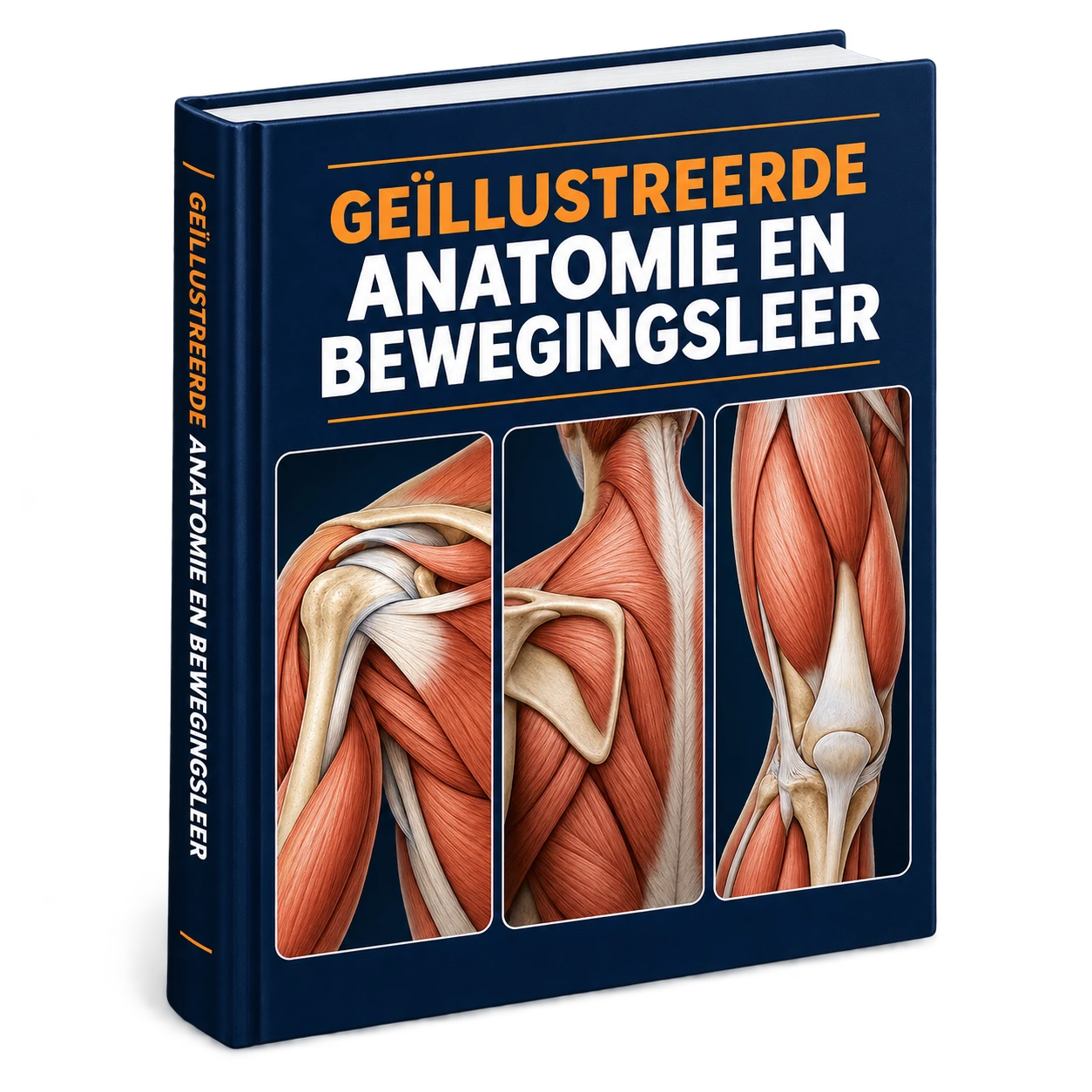 Boekomslag Geïllustreerde anatomie en bewegingsleer